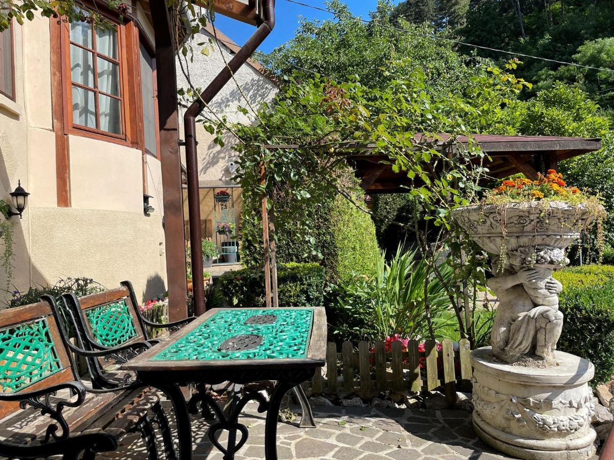 Hotel Dream House Braşov Extérieur photo