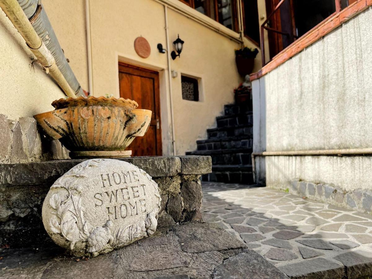 Hotel Dream House Braşov Extérieur photo